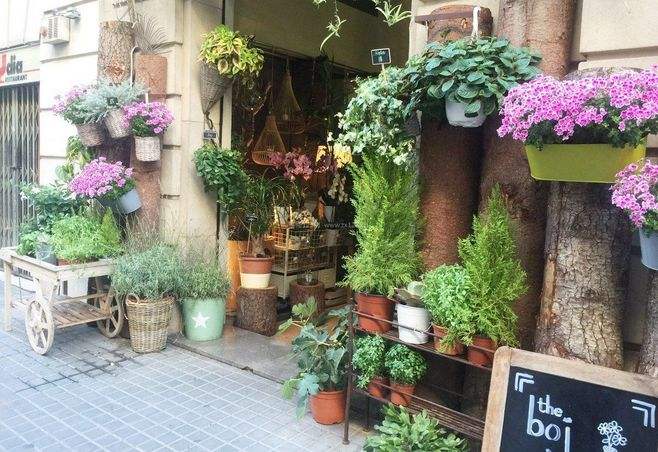 杭州鲜花店装修,花店装修要注意哪些问题,杭州花店装修