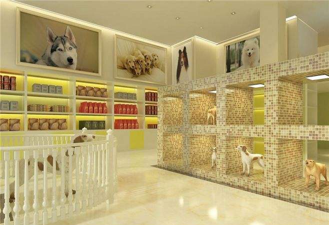 杭州宠物店装修,宠物们都喜欢的宠物店装修图,杭州宠物店装修 杭州宠物店装修,宠物们都喜欢的宠物店装修图,杭州宠物店装修